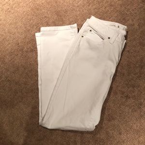 Jennifer Lopez capris